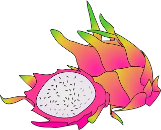 Dragon Fruit Tropical Stickdatei