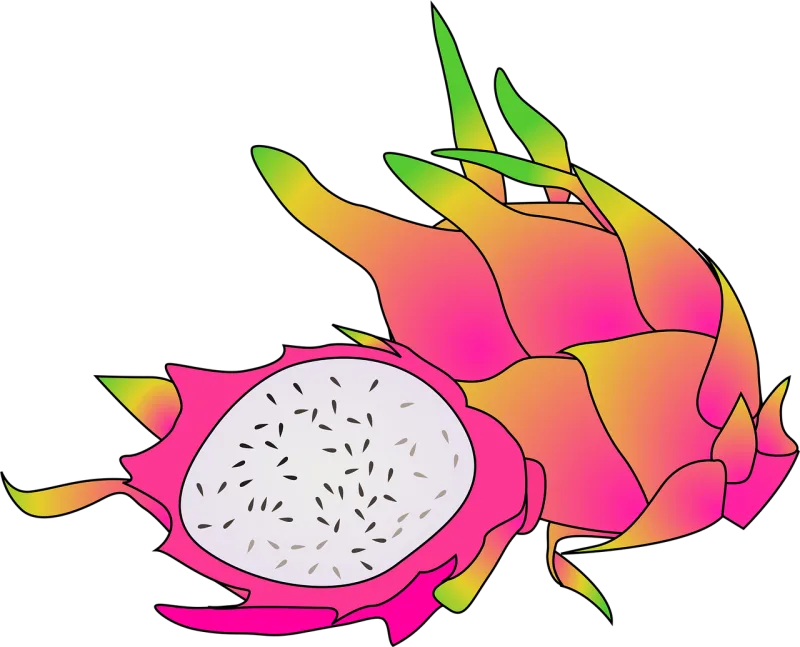 Dragon Fruit Tropical Stickdatei – Natur