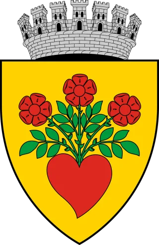 Coat arms Emblem Town Stickdatei – Blumen