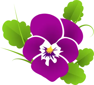 Pansy Violet Viola Stickdatei