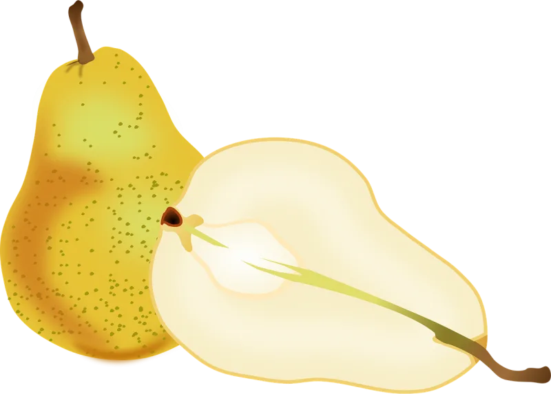 Pears Fruit Slice Stickdatei – Essen & Trinken