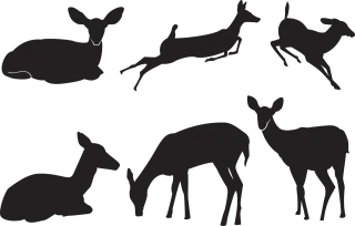 Deer Silhouette Nature Stickdatei – Tiere