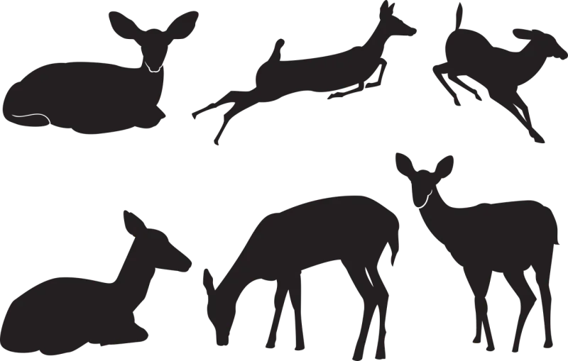 Deer Silhouette Nature Stickdatei – Tiere