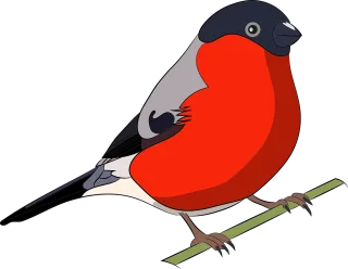 Birds Nature Colorful Stickdatei