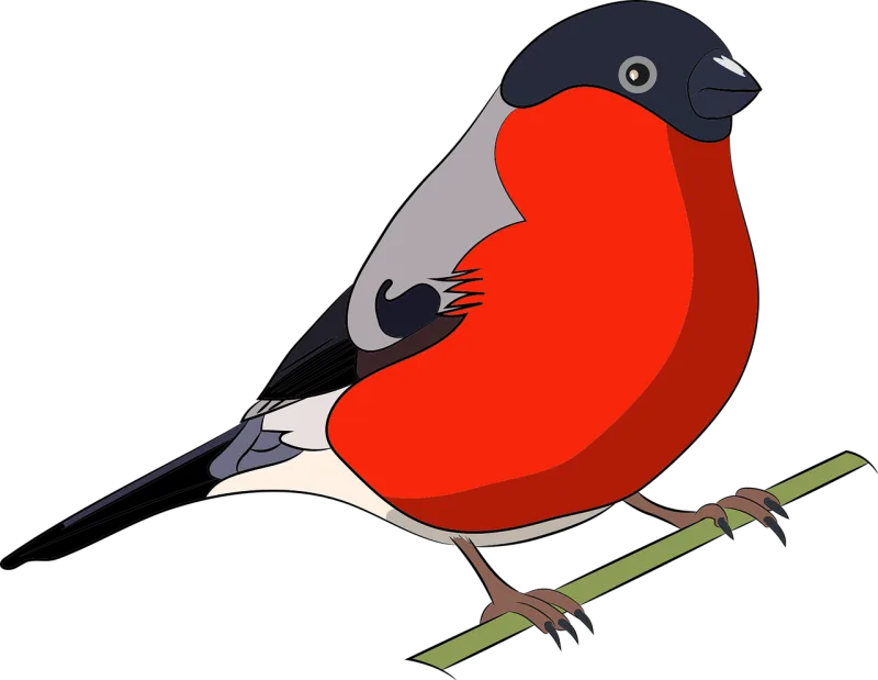 Birds Nature Colorful Stickdatei – Natur
