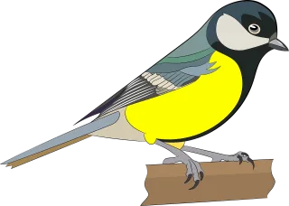 Birds Nature Colorful Stickdatei