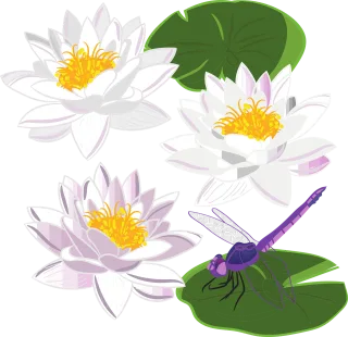 Water lily Lily Flower Stickdatei