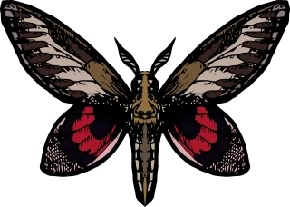 Butterfly Nature Insect Stickdatei
