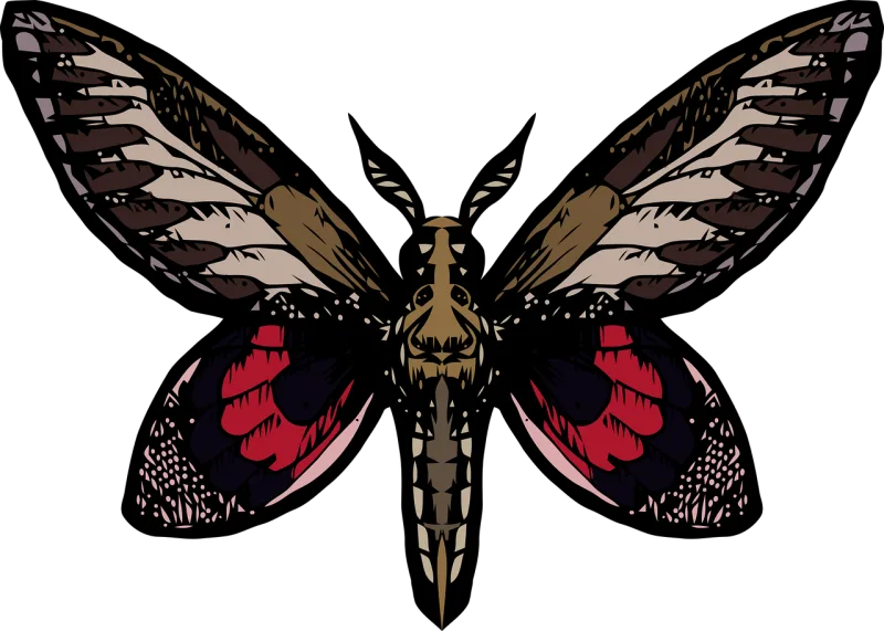 Butterfly Nature Insect Stickdatei – Tiere