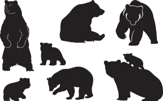 Bear Cub Animal Stickdatei