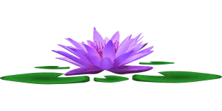 Water lily Lake Pond Stickdatei