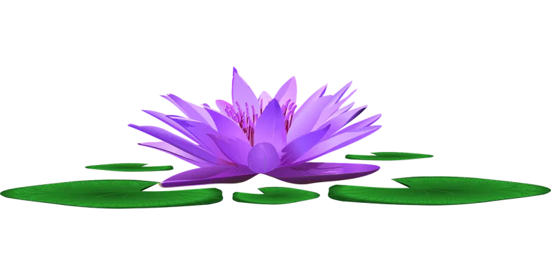 Water lily Lake Pond Stickdatei – Blumen
