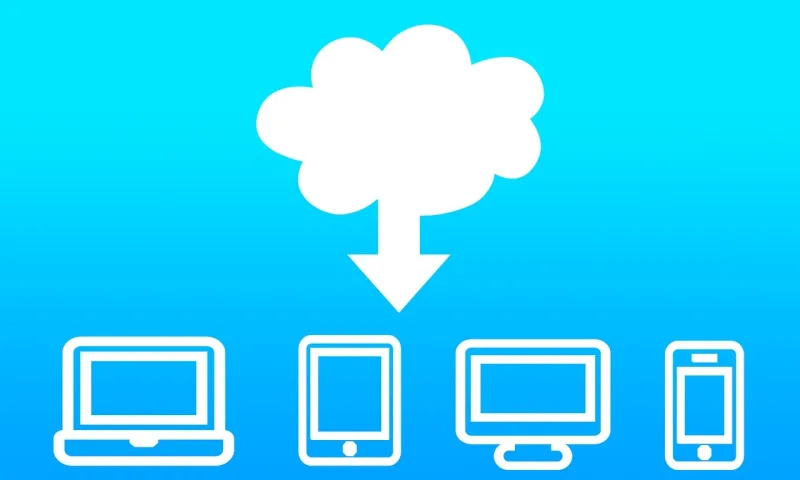 Network Cloud computing Technology Stickdatei – Natur