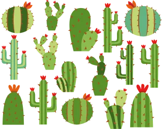 Cactus Summer Flower background Stickdatei