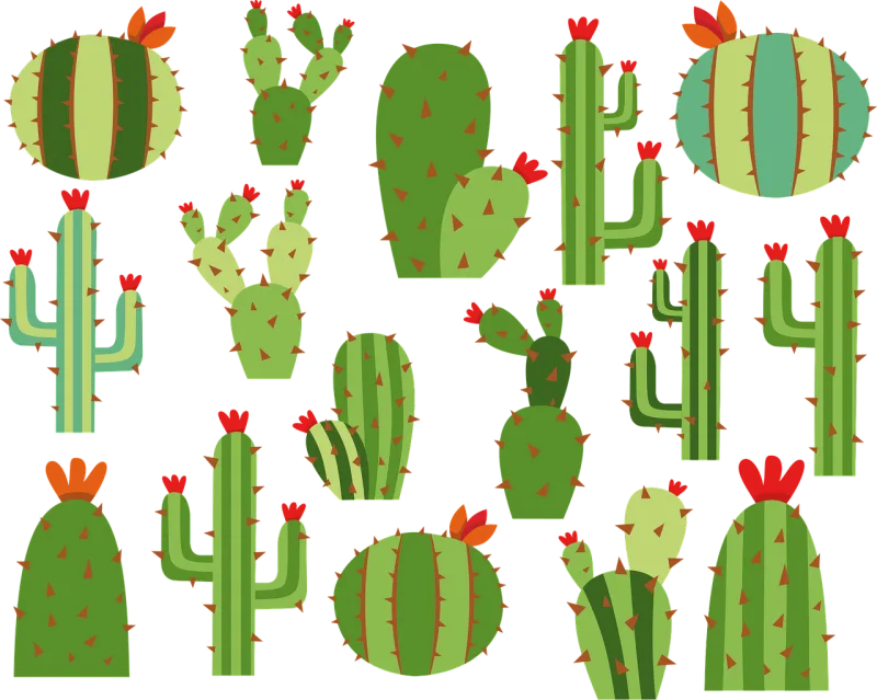Cactus Summer Flower background Stickdatei – Natur