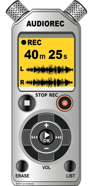 Voice Recorder Microphone Stickdatei