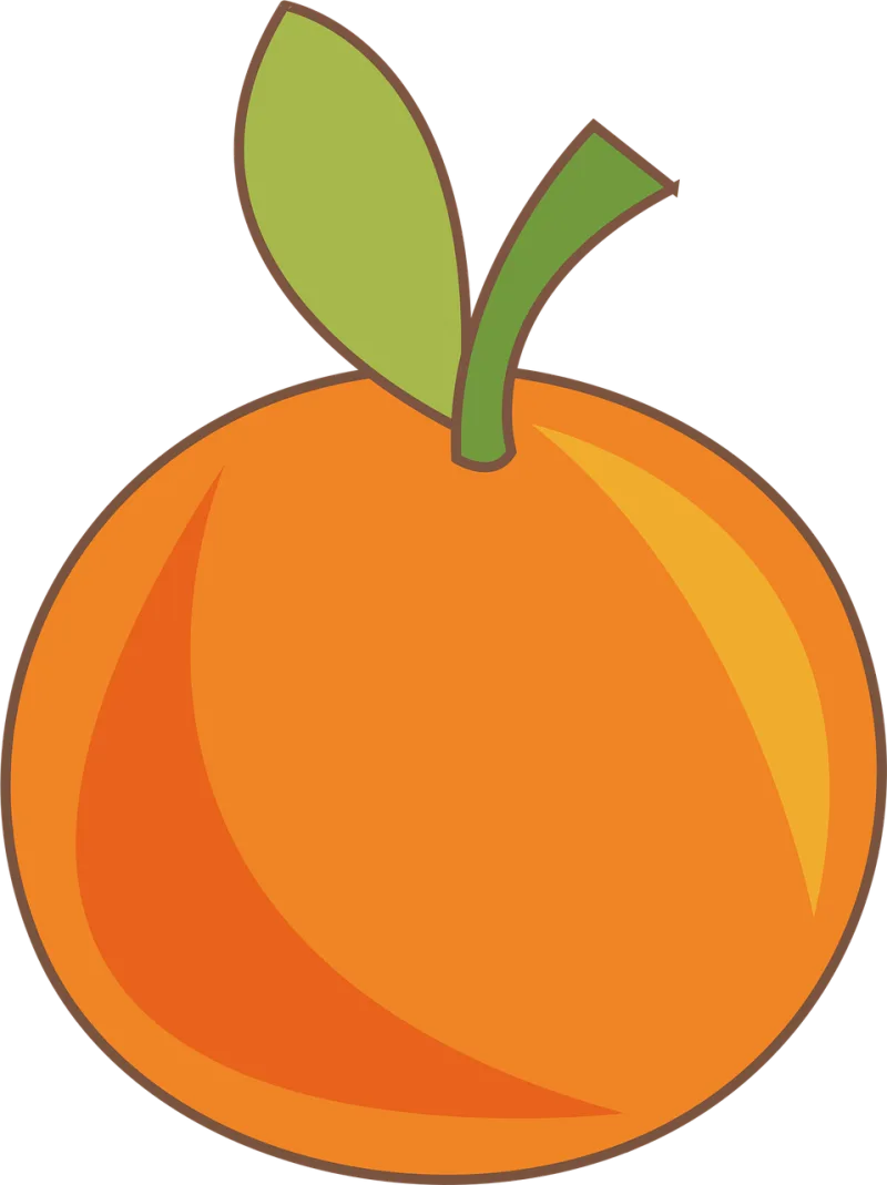 Orange Fruit Tangerinr Stickdatei – Essen & Trinken