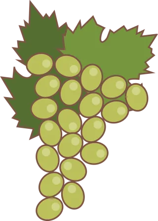 Grape Fruit Green grapes Stickdatei