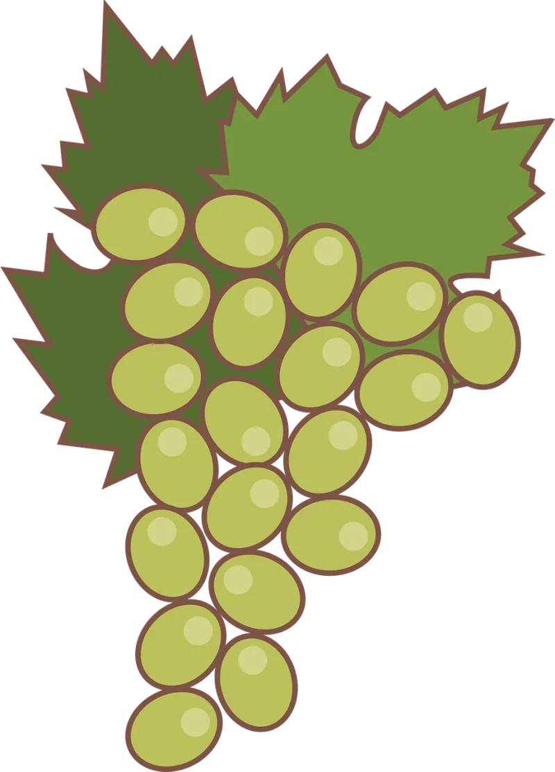 Grape Fruit Green grapes Stickdatei – Essen & Trinken
