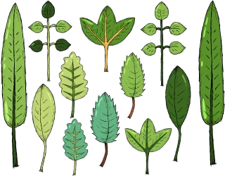 Leaves Foliage Drawing Stickdatei