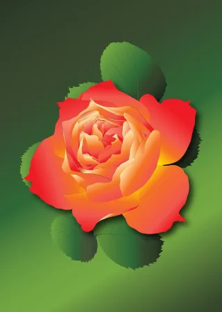 The rose Postcard Bloom Stickdatei – Blumen
