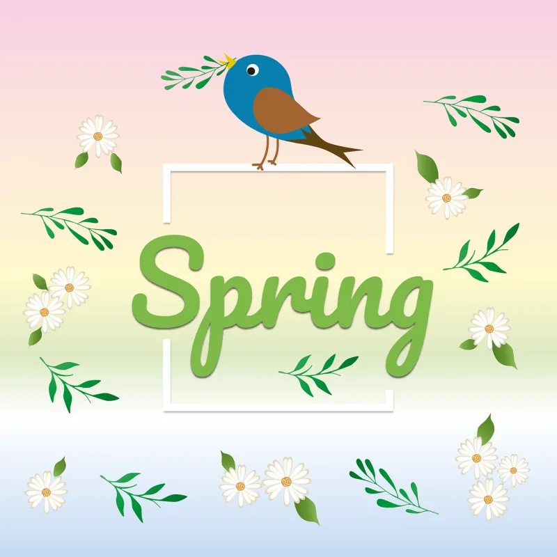 Season Spring Blossoms Stickdatei – Blumen