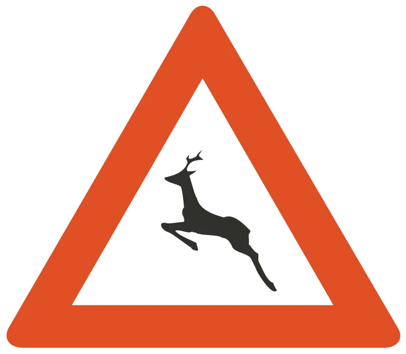 Animals Nature Road Stickdatei – Tiere