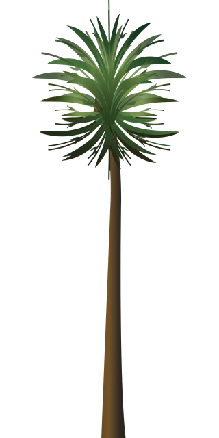 Palm tree Wood Paper Stickdatei