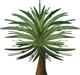 Palm tree Wood Paper Stickdatei – Natur