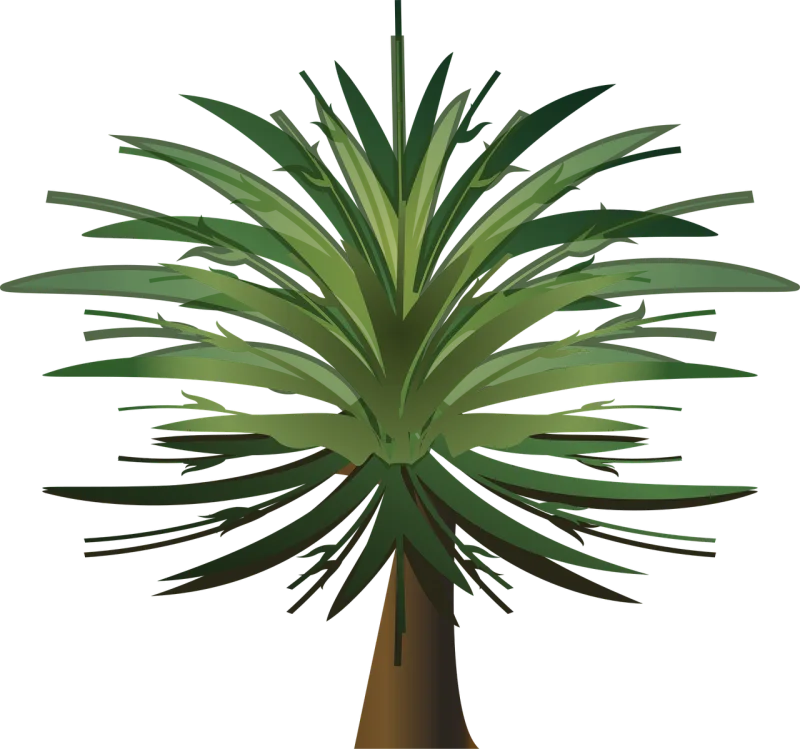 Palm tree Wood Paper Stickdatei – Natur