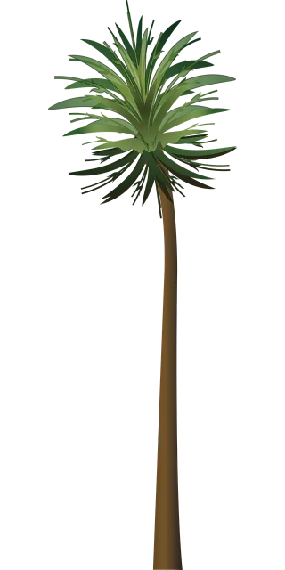Palm tree Wood Paper Stickdatei