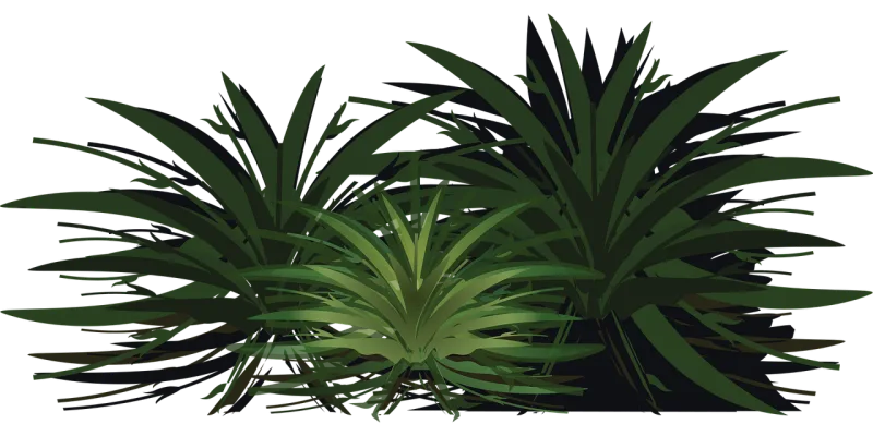 Palm tree Wood Paper Stickdatei – Natur