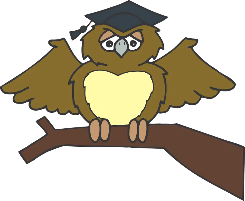 Owl Graduate Sitting Stickdatei – Tiere
