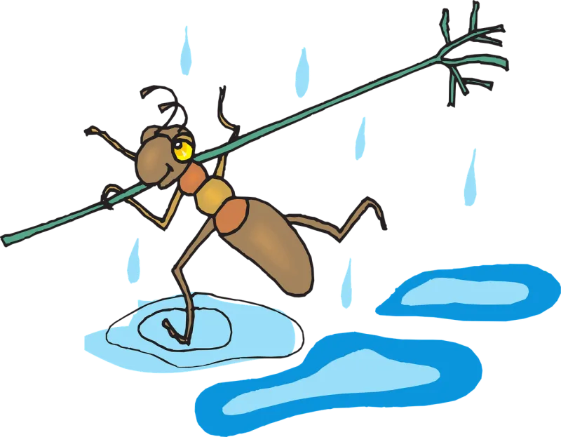 Stick Safety Nature Stickdatei – Sport