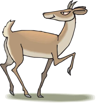 Head Nature Back Stickdatei – Tiere