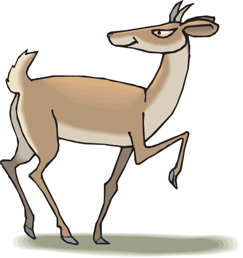Head Nature Back Stickdatei – Tiere