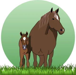 Horse Nature Cub Stickdatei