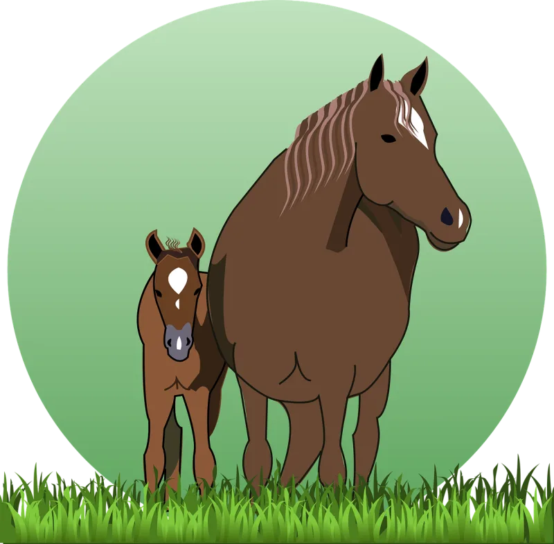 Horse Nature Cub Stickdatei – Tiere