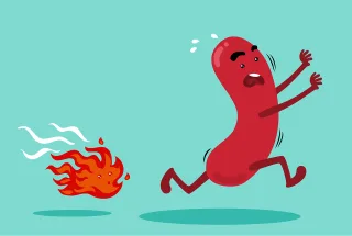 Sausage Fire Cartoon Stickdatei