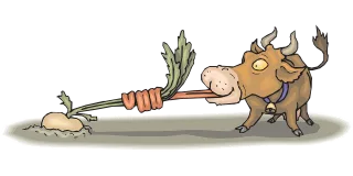 Cow Eating Food Stickdatei – Weihnachten
