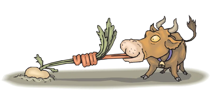 Cow Eating Food Stickdatei – Weihnachten
