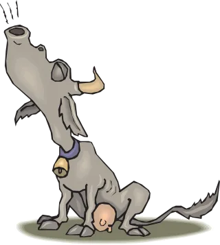 Cow Nature Sitting Stickdatei – Weihnachten