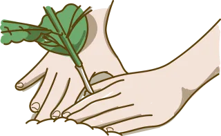 Plant Sow Green Stickdatei – Blumen
