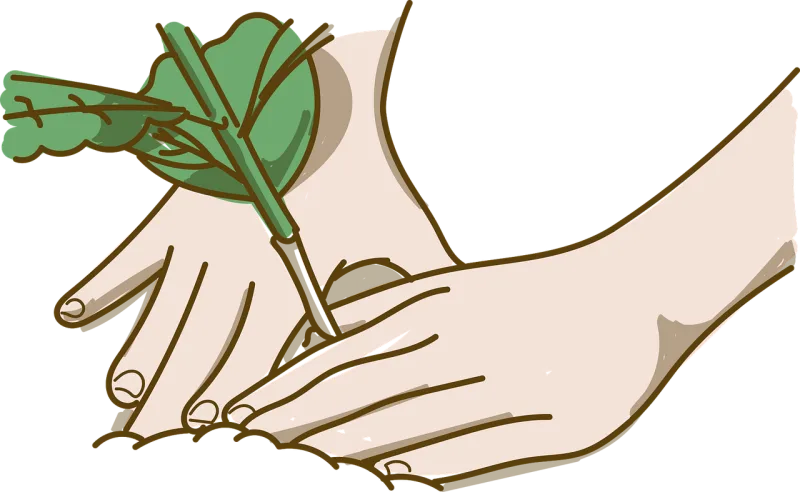 Plant Sow Green Stickdatei – Blumen