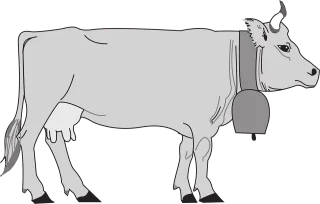 Gray Cow View Stickdatei