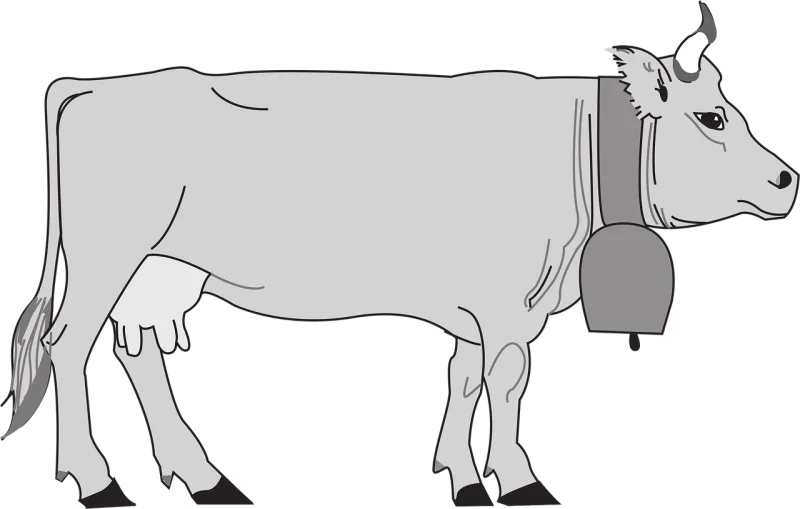 Gray Cow View Stickdatei – Weihnachten
