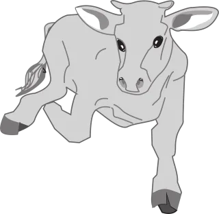 Farm Cow Front Stickdatei