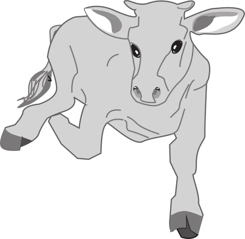 Farm Cow Front Stickdatei – Sport