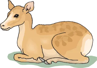 Deer Wild Sitting Stickdatei