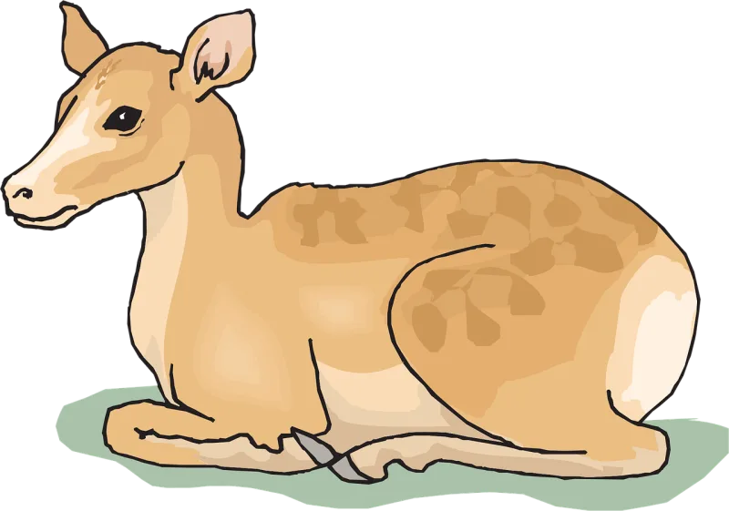 Deer Wild Sitting Stickdatei – Tiere